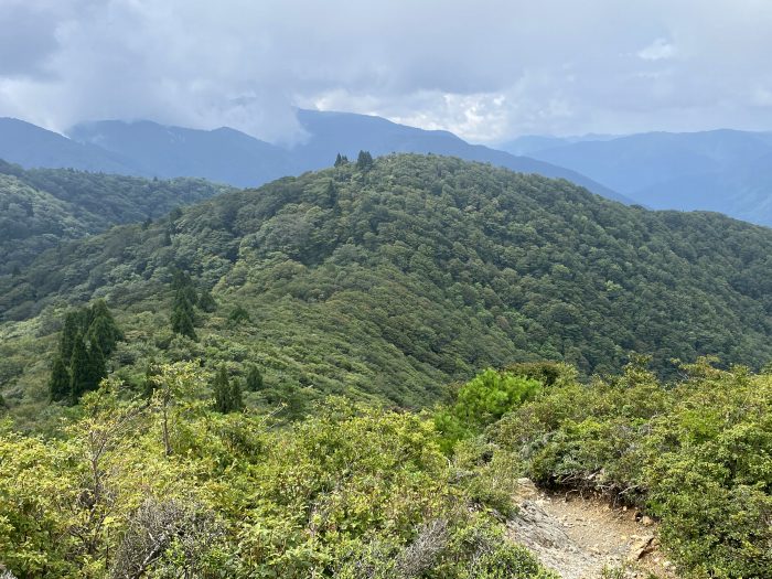 大津市北比良/御殿山