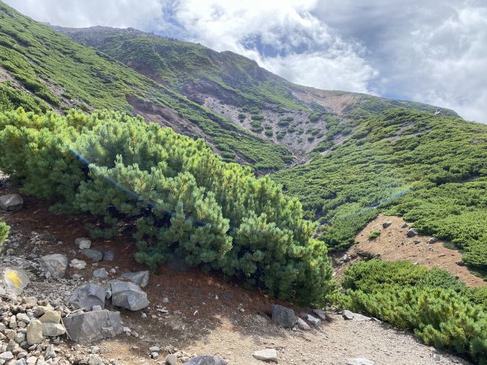 足寄郡足寄町/雌阿寒岳・阿寒富士