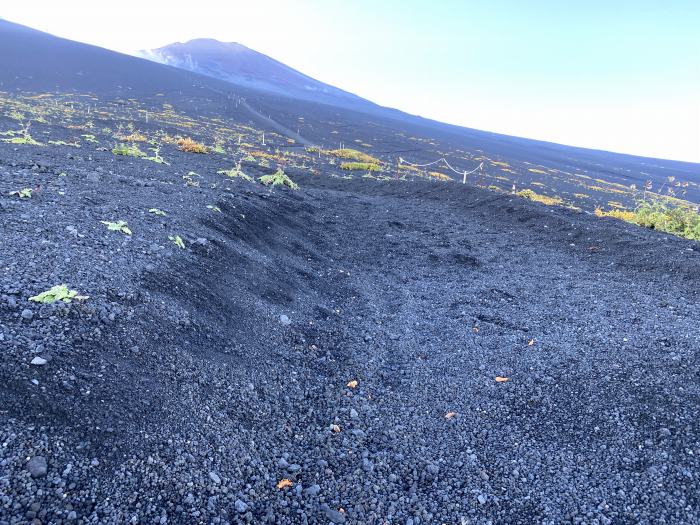 御殿場市印野/富士山御殿場ルート