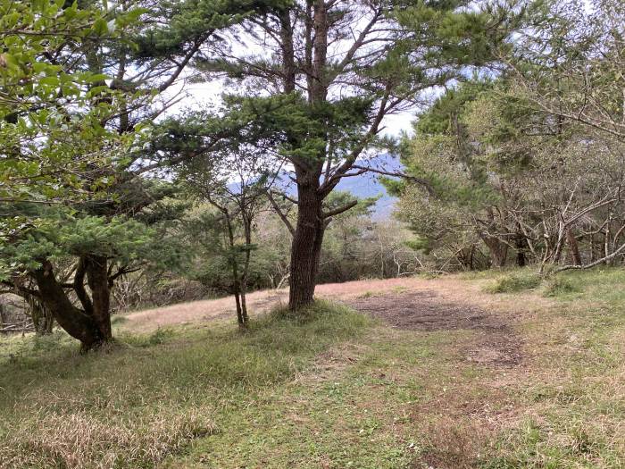 駿東郡小山町須走/立山