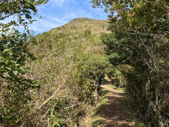 足柄下郡箱根町仙石原/金時山