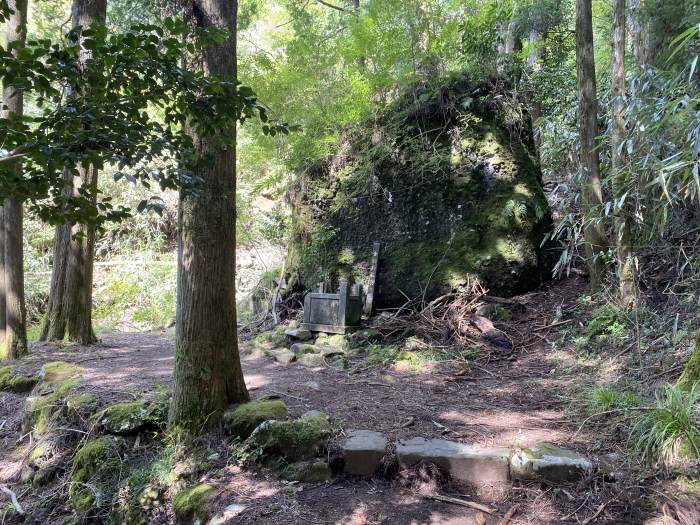 足柄下郡箱根町仙石原/金時山