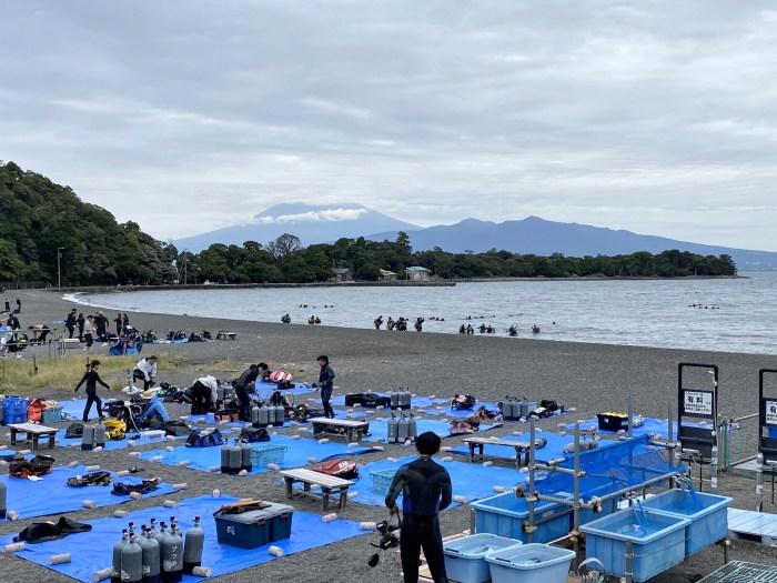 沼津市西浦江梨/大瀬崎