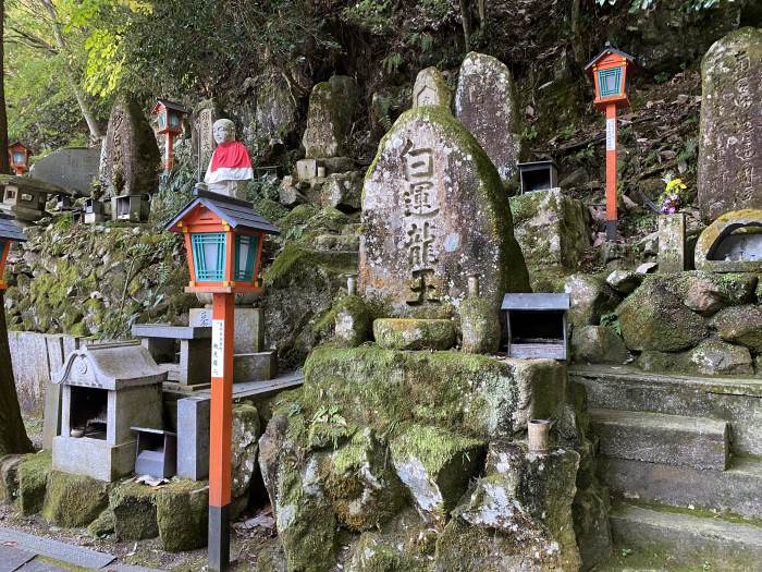 豊能郡能勢町野間中/能勢妙見山本瀧寺