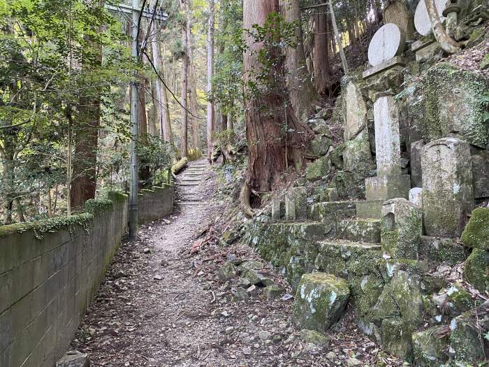 豊能郡能勢町野間中/妙見山