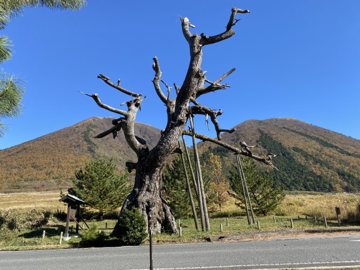 大田市三瓶町志学/三瓶山