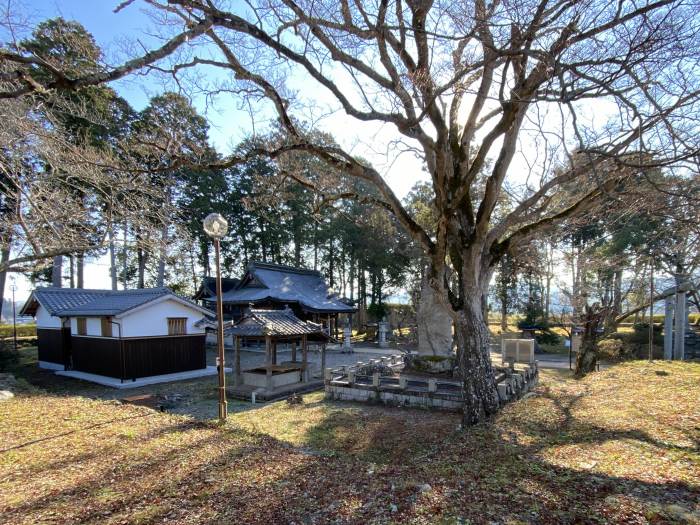 丹波篠山市北新町/青山神社