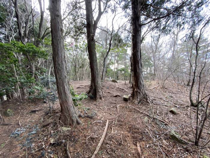 西宮市山口町船坂/大平山