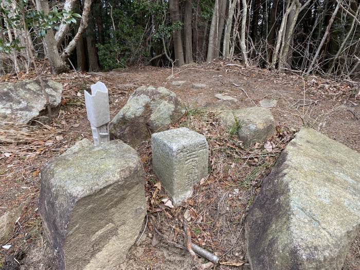 西宮市山口町船坂/大平山