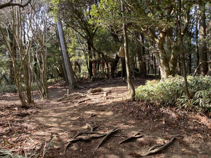 神戸市灘区原田/摩耶山