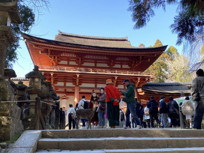 奈良市春日野町/春日大社