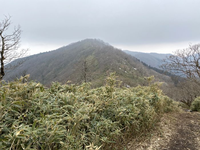 美作市後山/駒の尾山、鍋ヶ谷山、船木山、後山、オゴシキ山