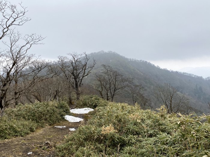 美作市後山/駒の尾山、鍋ヶ谷山、船木山、後山、オゴシキ山