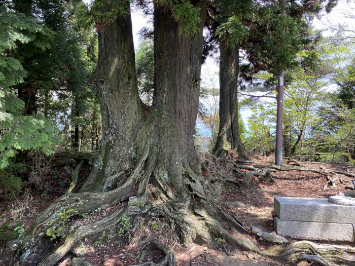 大津市坂本本町/比叡山延暦寺