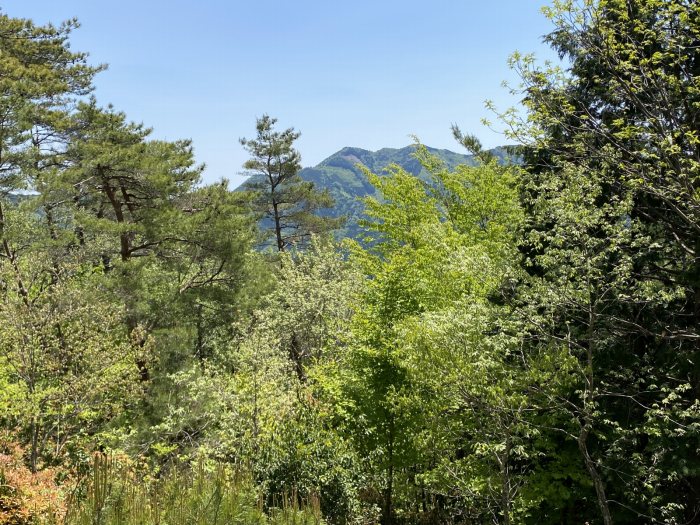 宍粟市千種町西河内/空山