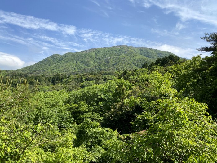 東近江市政所町/竜ヶ岳