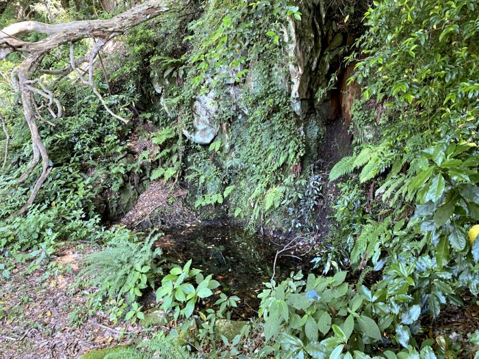 東伯郡湯梨浜町羽衣石/羽衣石城跡