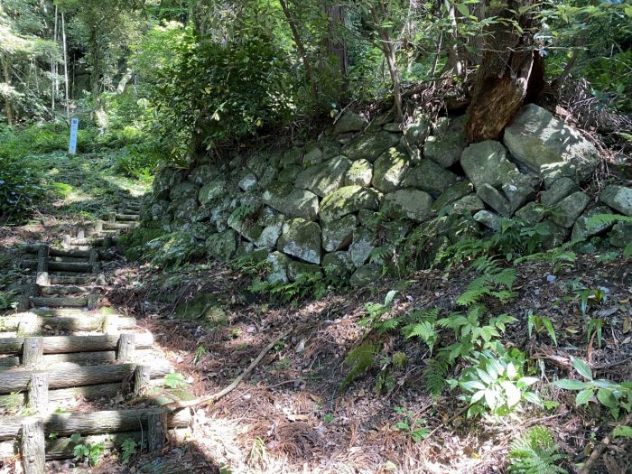 東伯郡湯梨浜町羽衣石/羽衣石城跡