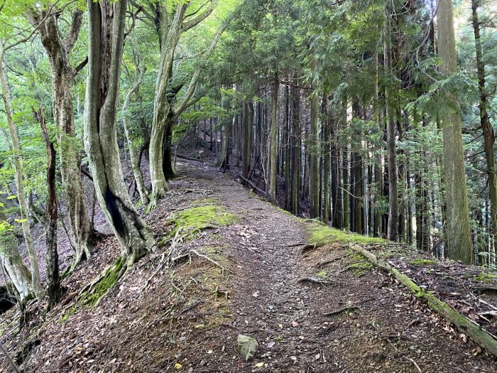 犬上郡多賀町霊仙/霊仙山・経塚山