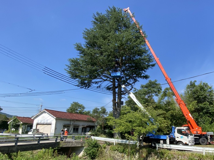 丹波篠山市東新町/頼尊又四郎稲荷神社写真