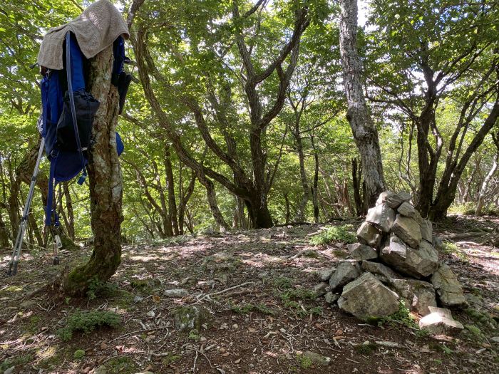 大津市葛川木戸口町/蓬莱山