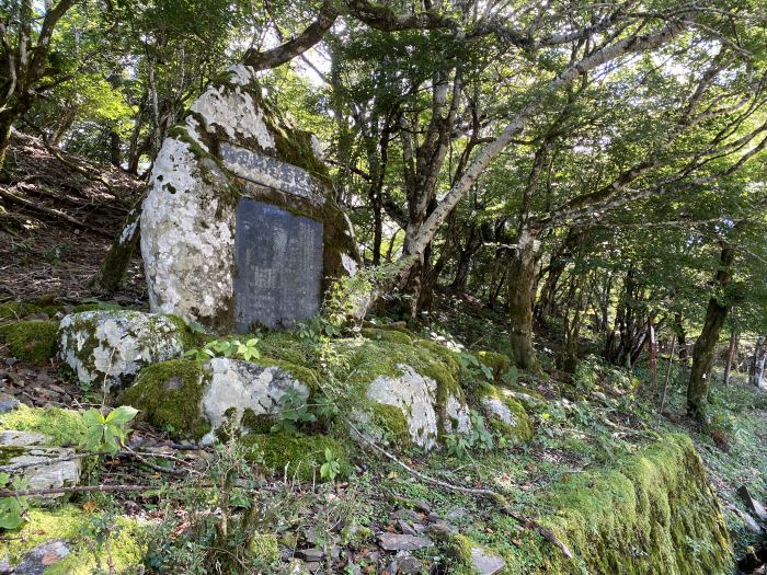 那賀郡那賀町沢谷/剣山スーパー林道