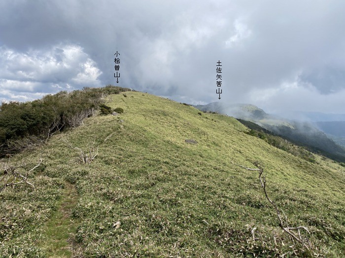 三好市東祖谷樫尾/土佐矢筈山