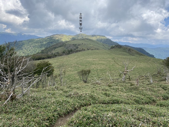 三好市東祖谷樫尾/土佐矢筈山