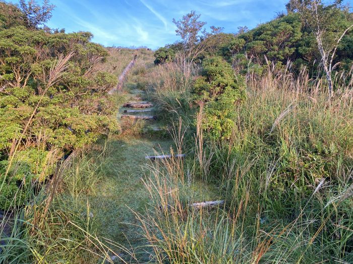 長岡郡大豊町庵谷/梶ヶ森