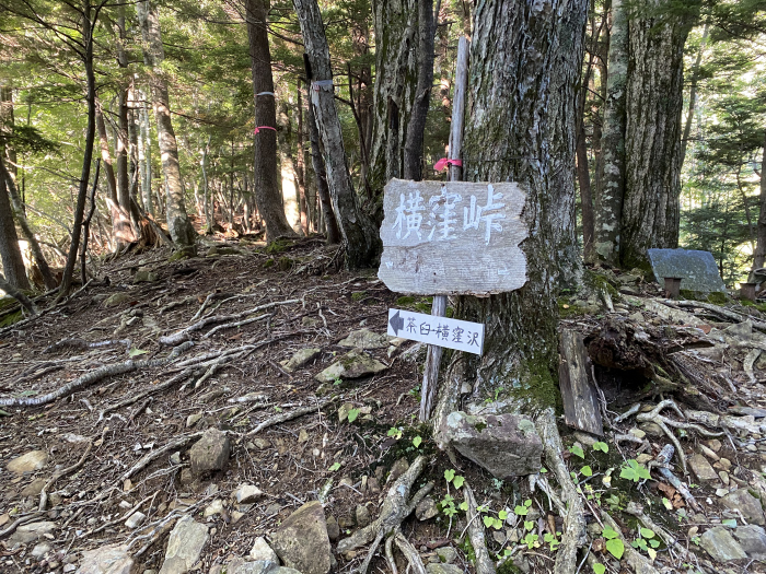 静岡市葵区/茶臼岳