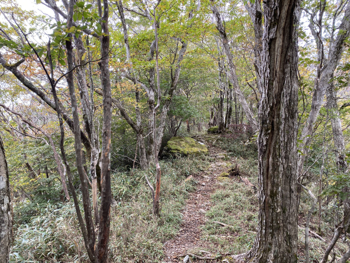 吾川郡いの町足谷/平家平