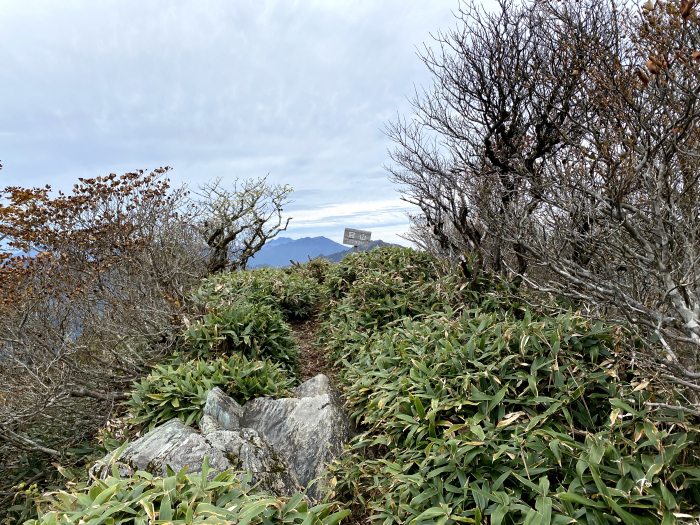 吾川郡いの町桑瀬/冠山