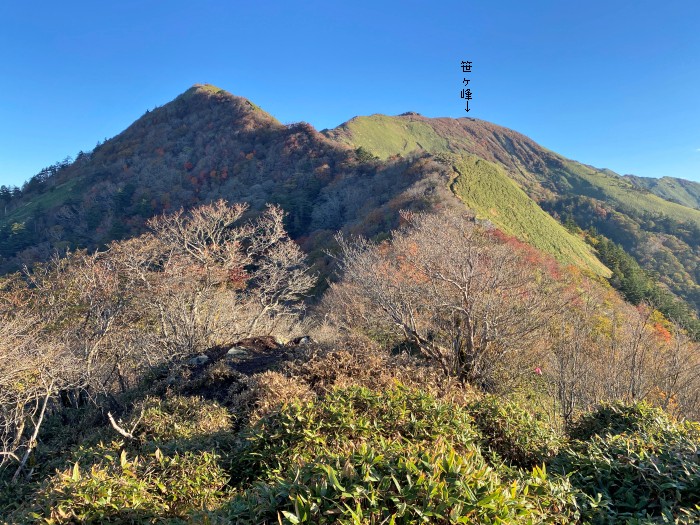 吾川郡いの町桑瀬/笹ヶ峰