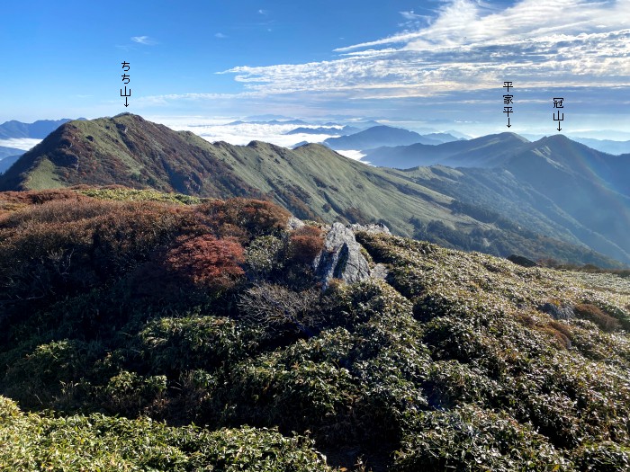 吾川郡いの町桑瀬/笹ヶ峰