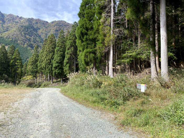 吾川郡いの町桑瀬/笹ヶ峰