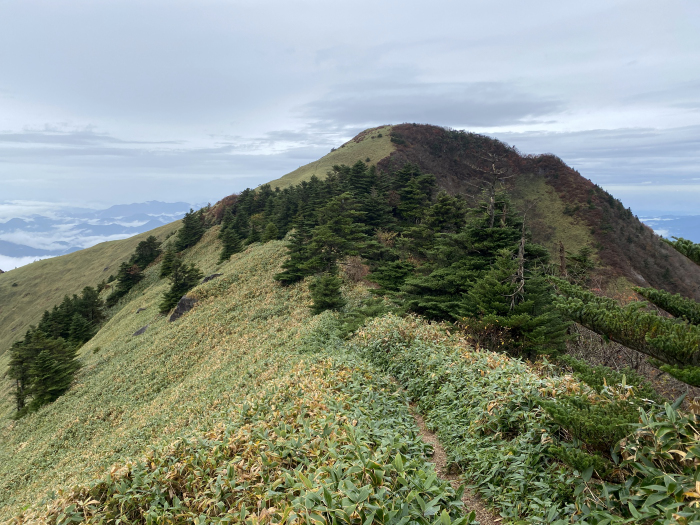 西条市小松町石鎚/鞍瀬ノ頭