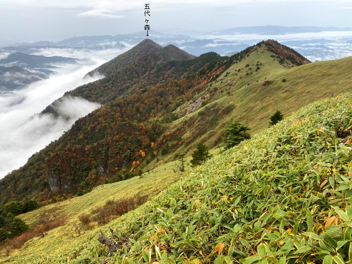 西条市小松町石鎚/鞍瀬ノ頭