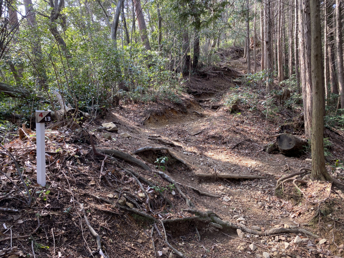 河内長野市滝畑/岩湧山