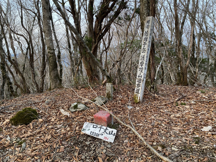 吉野郡野迫川村大字平/伯母子岳