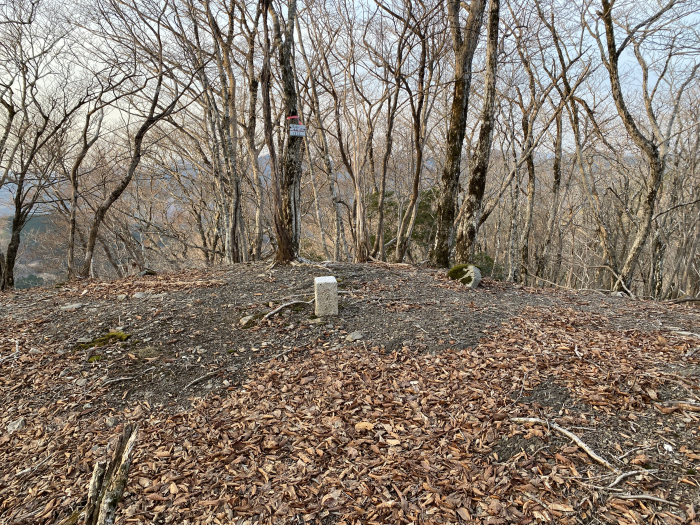 吉野郡野迫川村大字平/伯母子岳