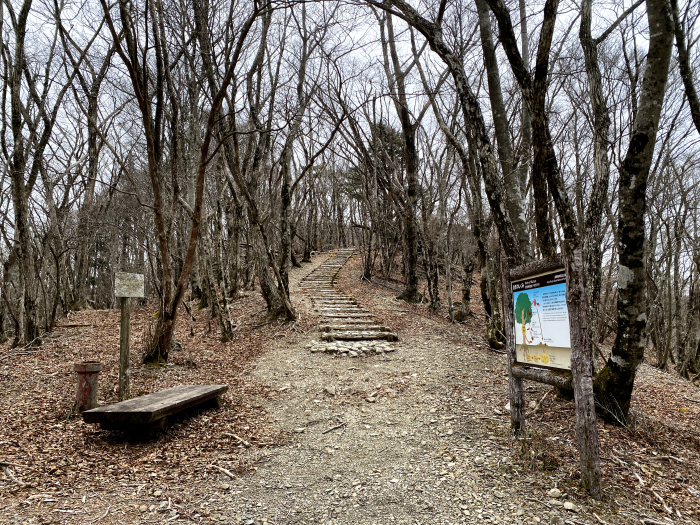田辺市龍神村龍神/護摩壇山、龍神岳