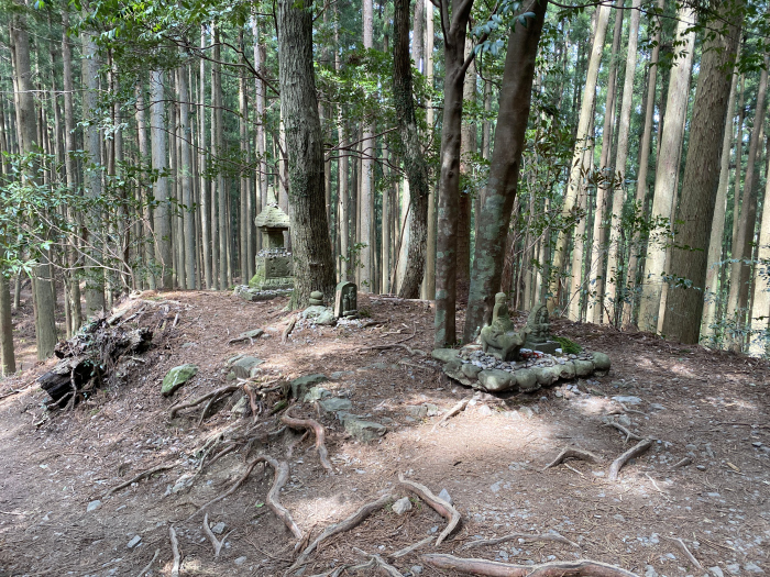 田辺市中辺路町近露/熊野古道中辺路箸折峠