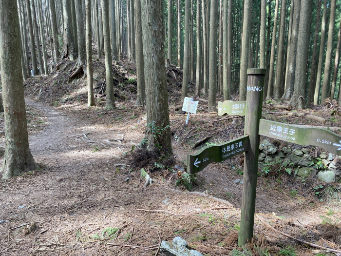 田辺市中辺路町近露/熊野古道中辺路箸折峠