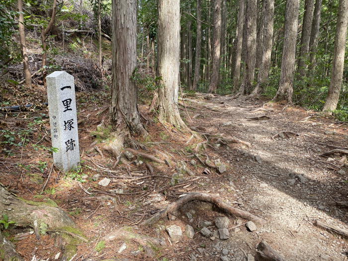 田辺市中辺路町近露/熊野古道中辺路箸折峠