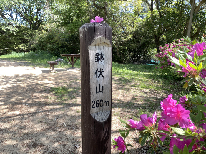 神戸市須磨区/須磨アルプス