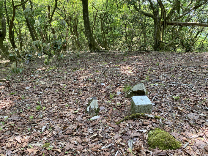 由良ヶ岳