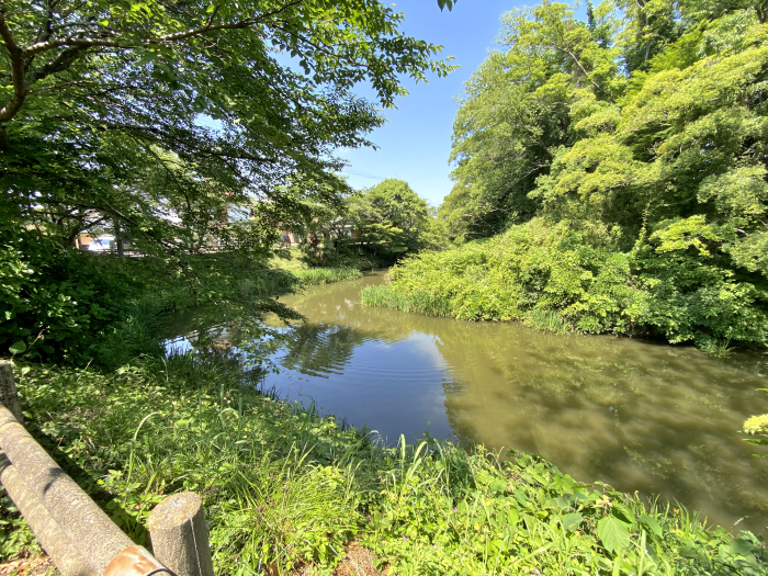 甲賀市水口町本丸/水口城