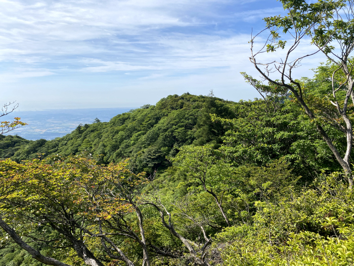 東近江市杠葉尾町/釈迦ヶ岳