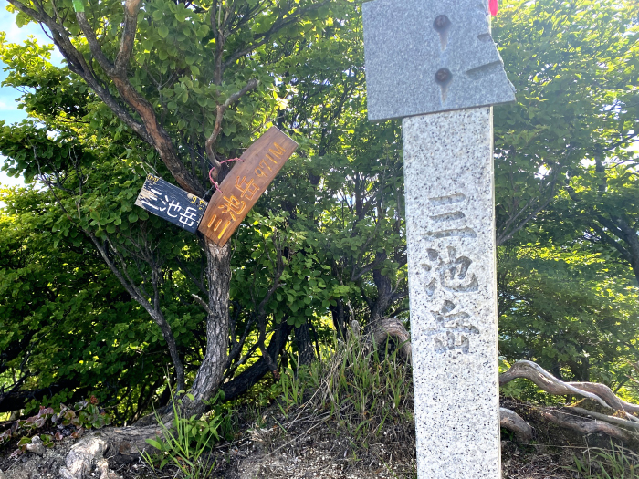 東近江市杠葉尾町/釈迦ヶ岳