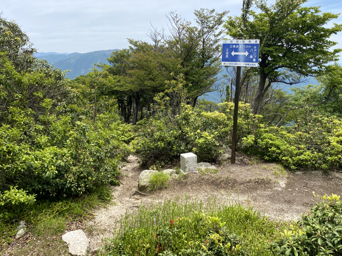 東近江市杠葉尾町/釈迦ヶ岳